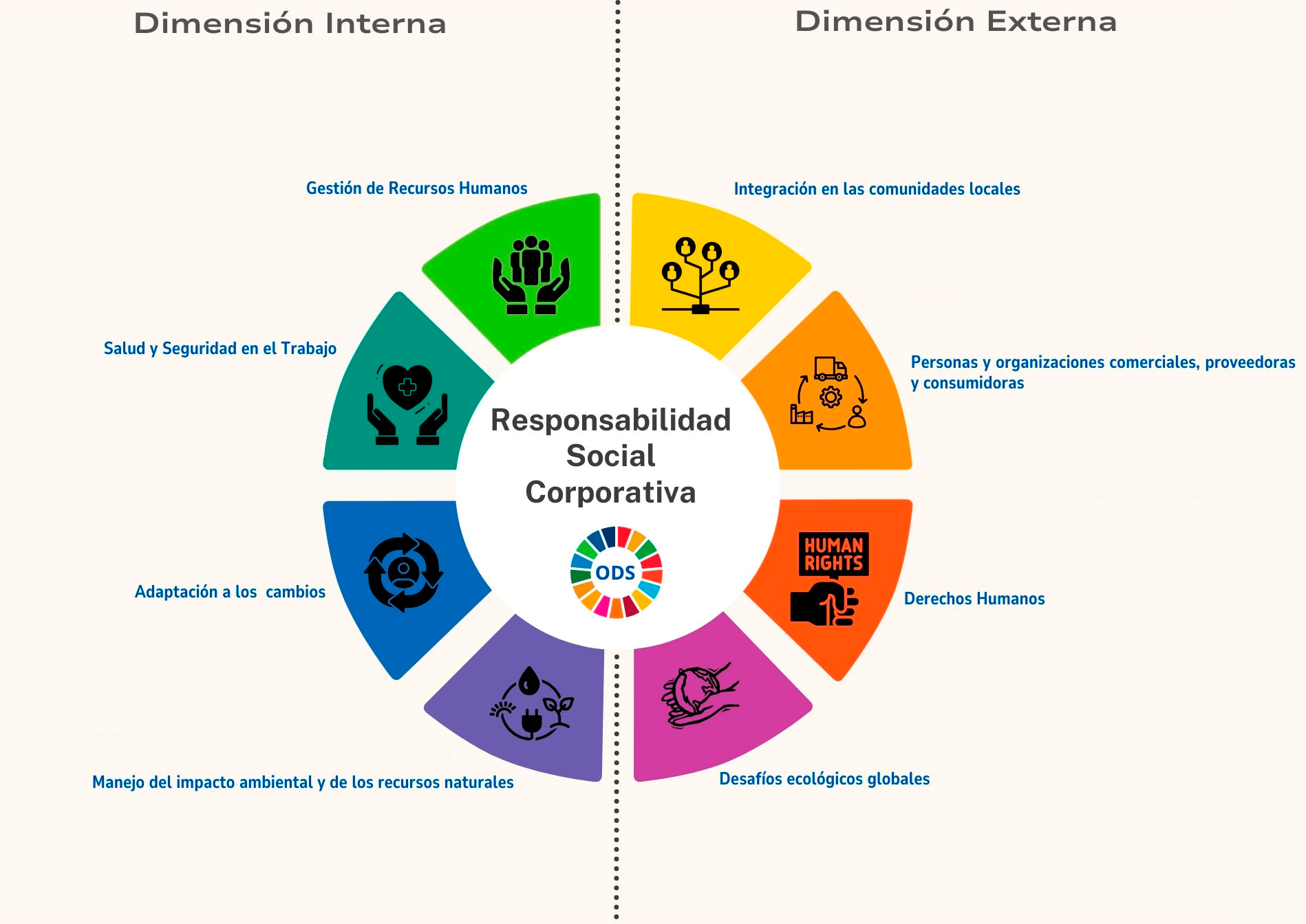 Dimensiones RSC