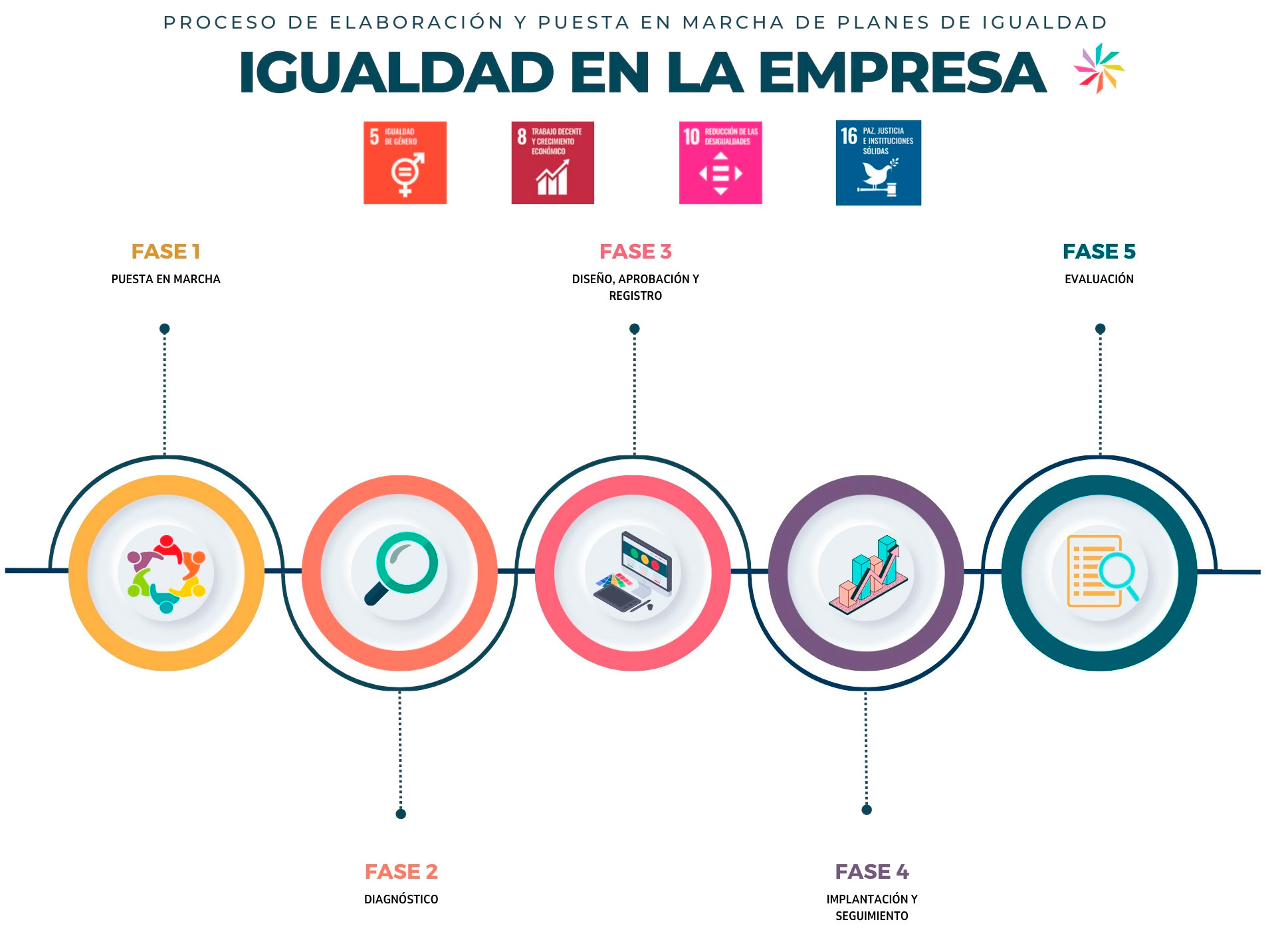 Fases Plan Igualdad