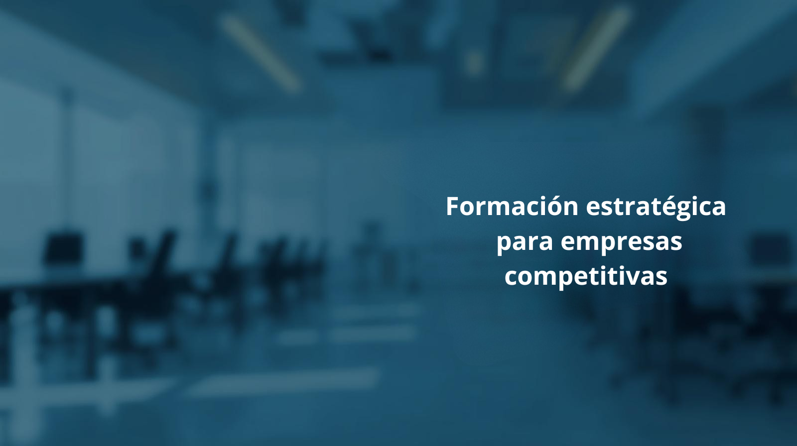 Oferta Formativa Background